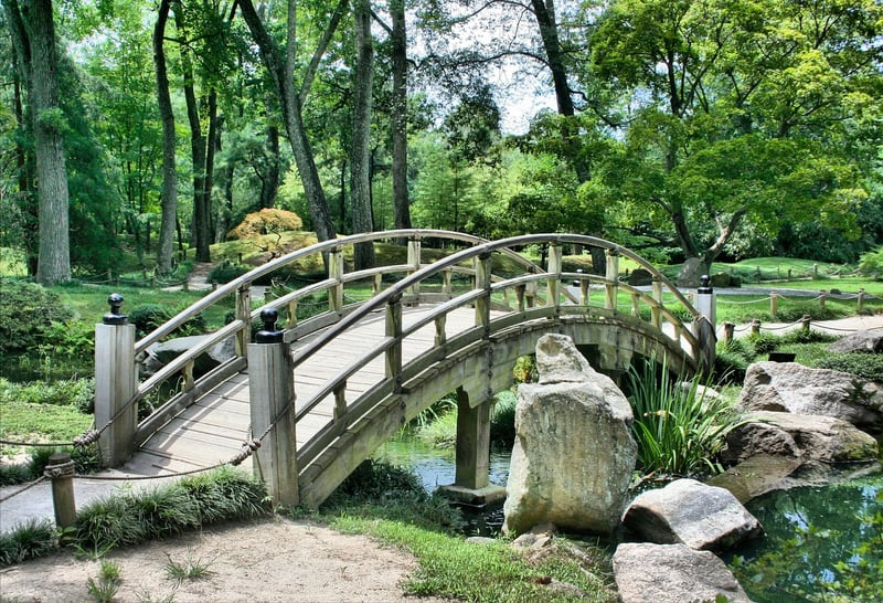 Whimsical Garden Setup