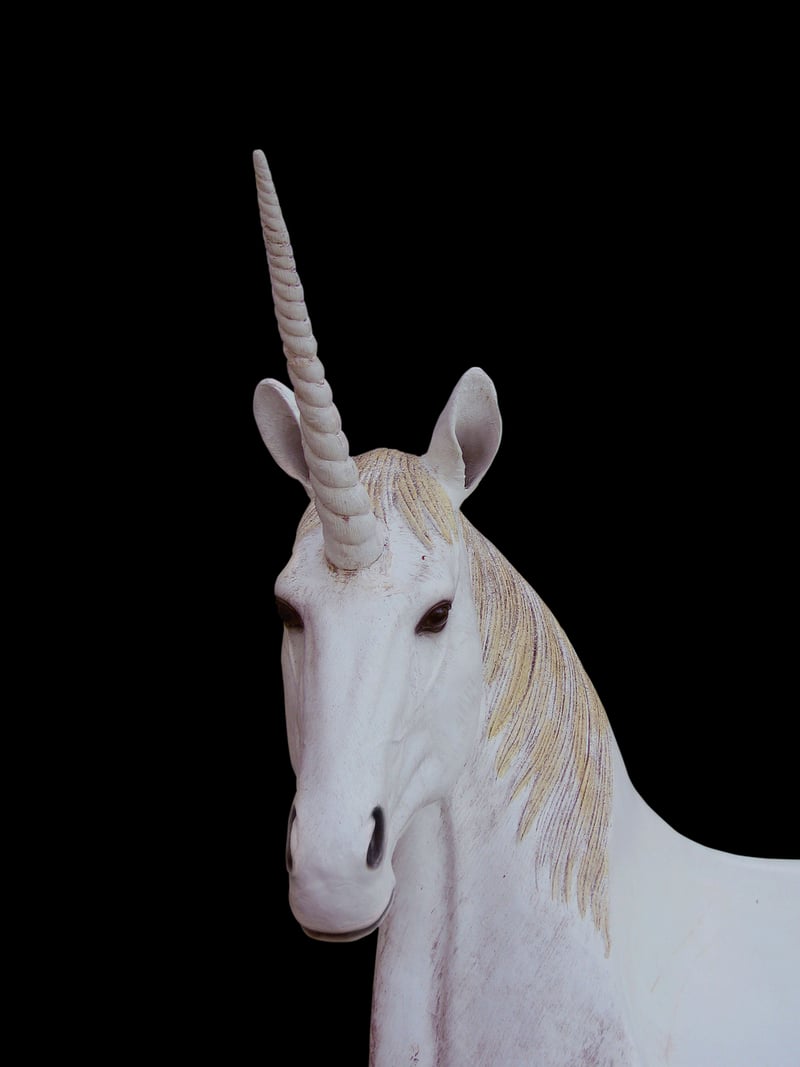 Unicorn Plant